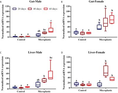 Weathered polyethylene microplastics exposure leads to modulations in glutathione-S-transferase activity in fish